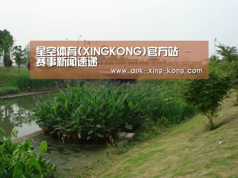 案例展示四(图1)