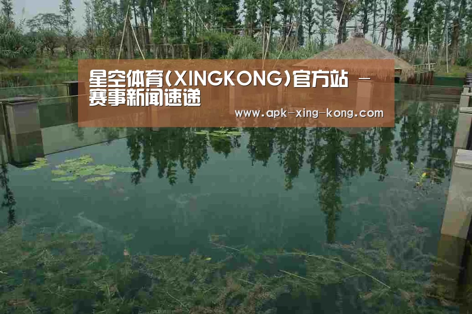 案例展示二(图1)