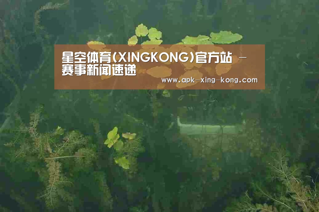 案例展示三