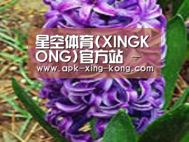产品名称八