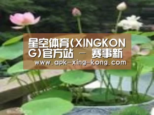 产品名称一