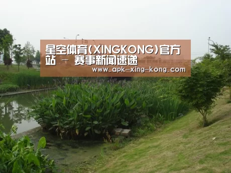 案例展示四