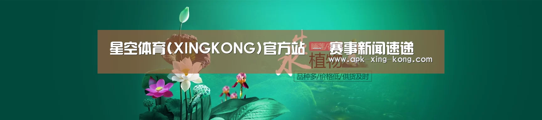 鲜花水草花卉网站模板
