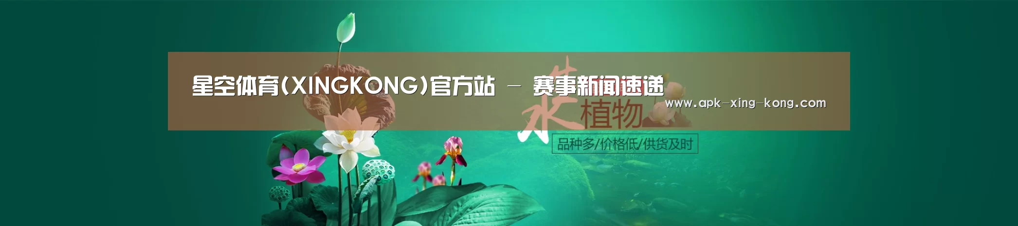 鲜花水草花卉网站模板