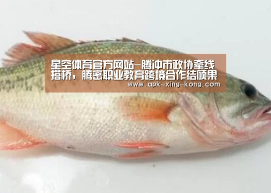 星空体育官方网站-腾冲市政协牵线搭桥,腾密职业教育跨境合作结硕果(图2) 星空体育app