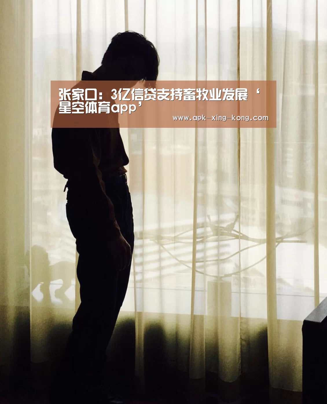 张家口:3亿信贷支持畜牧业发展‘星空体育app’(图4) 星空体育官方网站