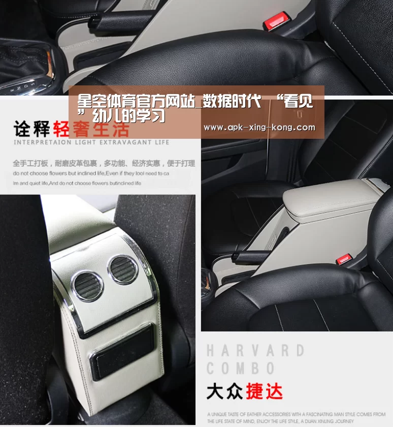 星空体育官方网站_数据时代 “看见”幼儿的学习(图1) 星空体育