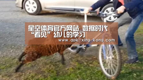 星空体育官方网站_数据时代 “看见”幼儿的学习(图2) 星空体育官方网站