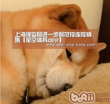 上海保监局进一步规范投连险销售【星空体育app】(图3) 星空体育